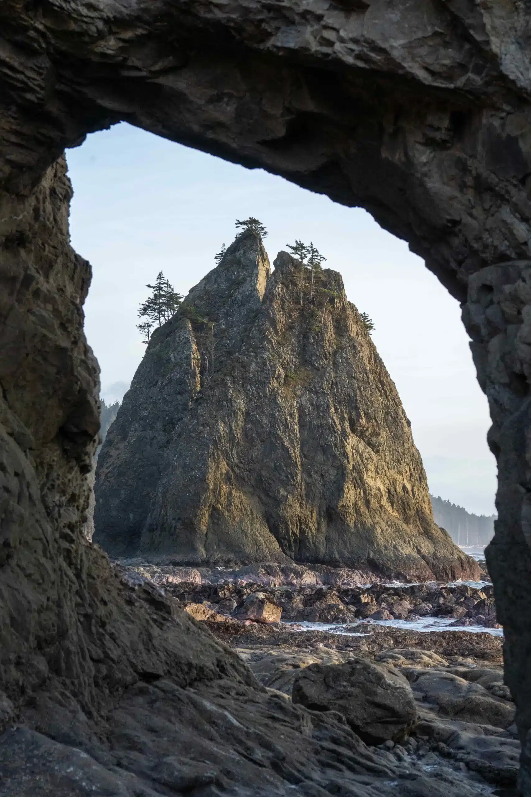 When is the best time to visit Olympic National Park?